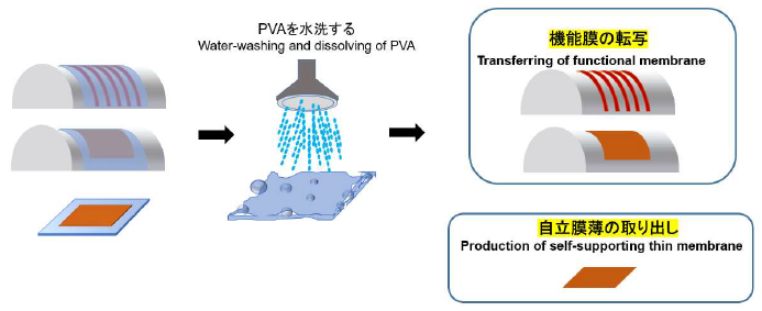 【SOシートの工程例】PVAを溶かす