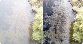 画像鮮明化フィルターシステム “OWL EYE”