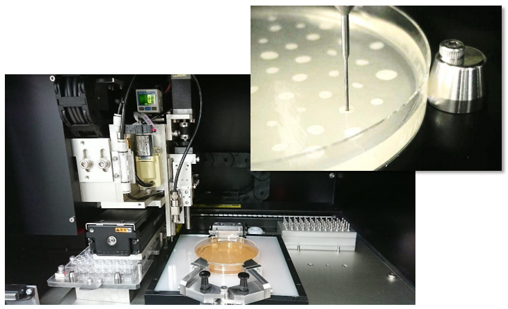 全自動コロニーピッキング装置『コロニーピッカー Pm3シリーズ』