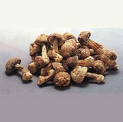 株式会社ジェイエムシー　事業紹介