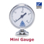 Pharmaceutical Specification Sanitary Pressure Gauge EK (63mm)