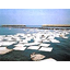 High-performance oil-absorbent sheet "Oil Catcher"
