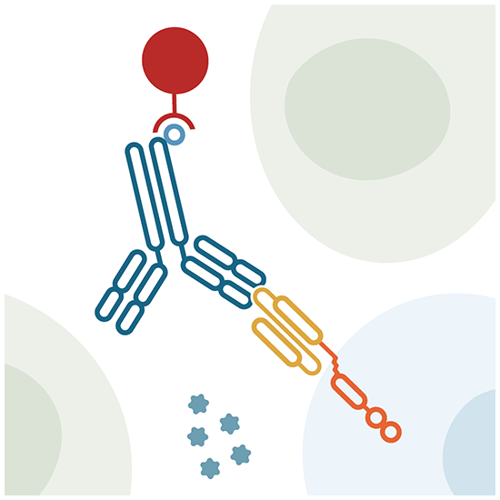 新しいCAR Cell Enrichmentキット