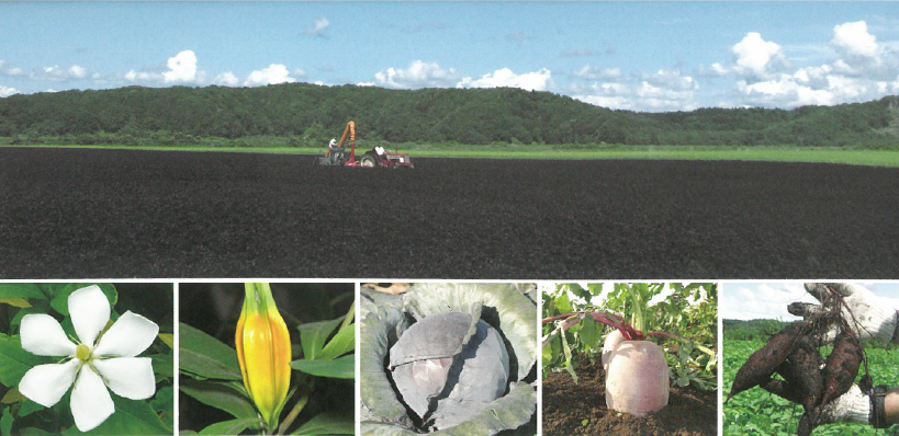 日農食品販売株式会社　会社案内