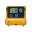 Carbon Monoxide Meter XC-2200