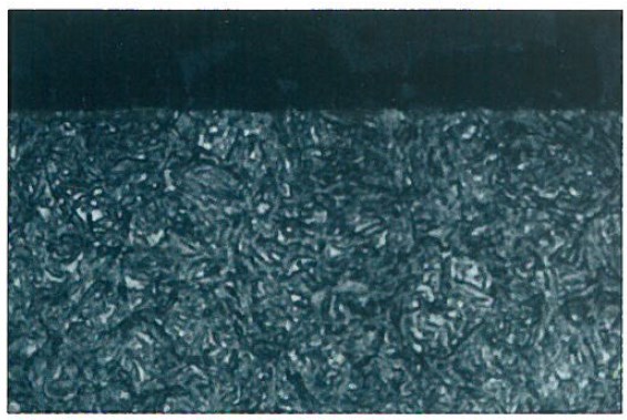 真空浸炭法『ダイレクト浸炭（Multi Carbo）』