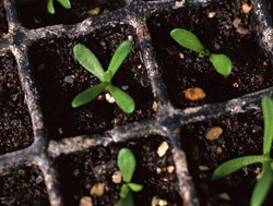 畜産分野・検査 「肥料成分検査」