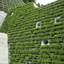 Slope greening, sediment control dam greening, retaining wall greening, environmental greening: evergreen giraffe grass bag method.