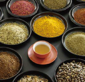 昭和製薬株式会社　OEM受託製造のご紹介