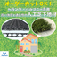 Order cuts OK! Amazing high strength and breathable artificial turf base material.