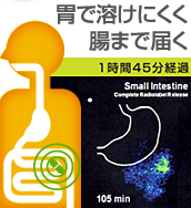 耐酸性食品カプセル『DRカプセル』