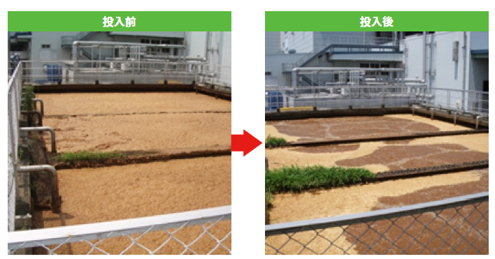 【事例】乳業製品製造工場＜発泡対策＞