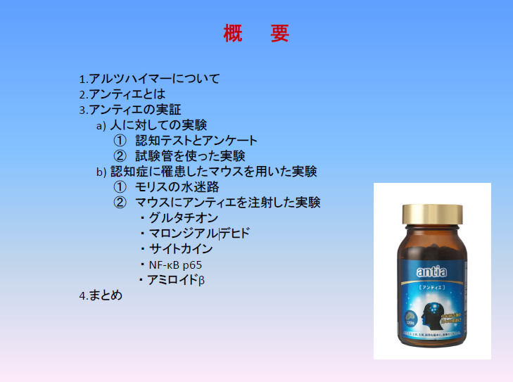 【資料】アンティエ