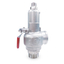 Screw-in full flow safety valve for boilers 'SC122'