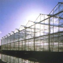 『フェンロー温室』