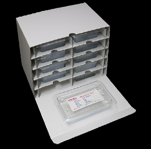 プレキャストゲル『アガロースゲル』