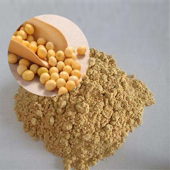 Soy Isoflavones.jpg