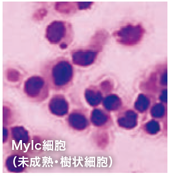 人工ヒト白血球『Mylc』