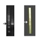 Detection device DNA immunochromatographic strip