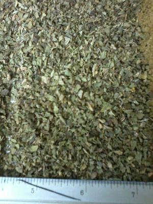 メキシコ産　飼料用オレガノパウダー