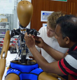 衝突安全性能試験用ダミー(ATD)