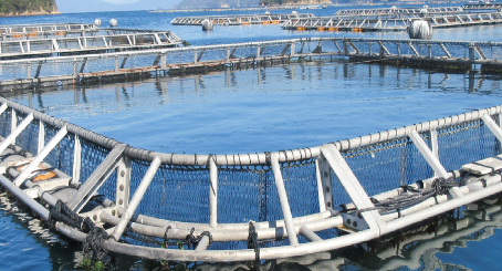 アルミめっき海洋構造物