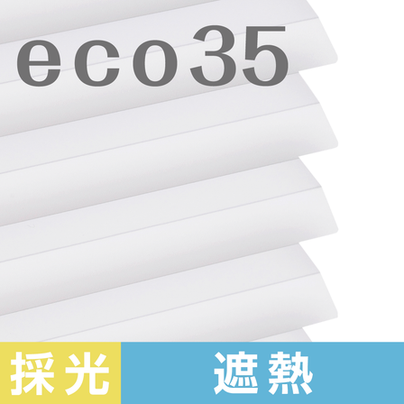 20240501_eco35.png