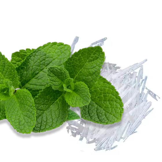 Menthol.jpg