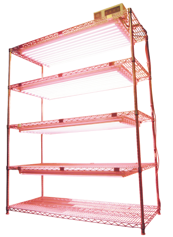 照明育成棚　<プラントフレック搭載>