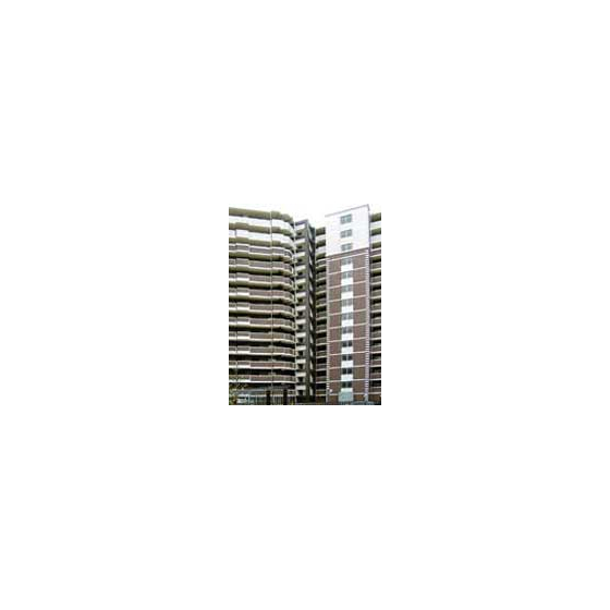 img01.jpg