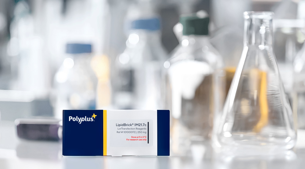 LipidBrick