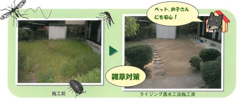 「ライジング透水工法」による雑草対策のご提案