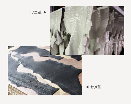 エキゾチックレザー