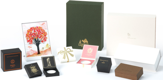 パッケージ『Vカット』