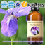 Iris Absolute Cold Extraction Pure Natural Fragrance Ingredient High-Quality Fragrance