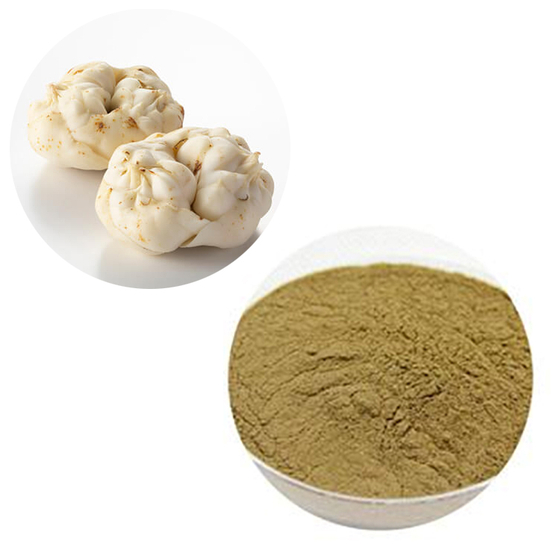 Lily Extract.jpg