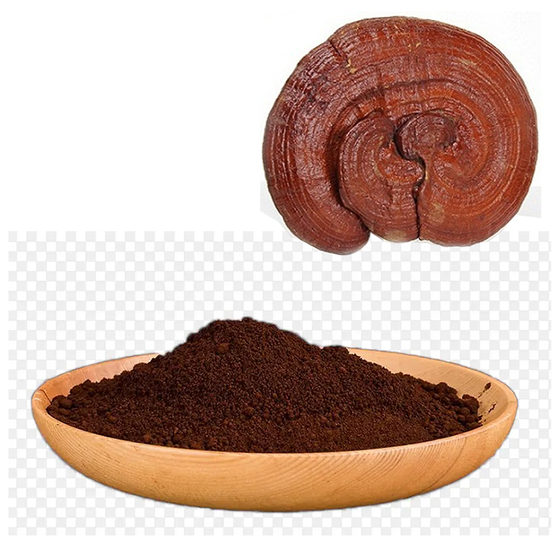 Broken-wall Reishi Spore Powder.jpg