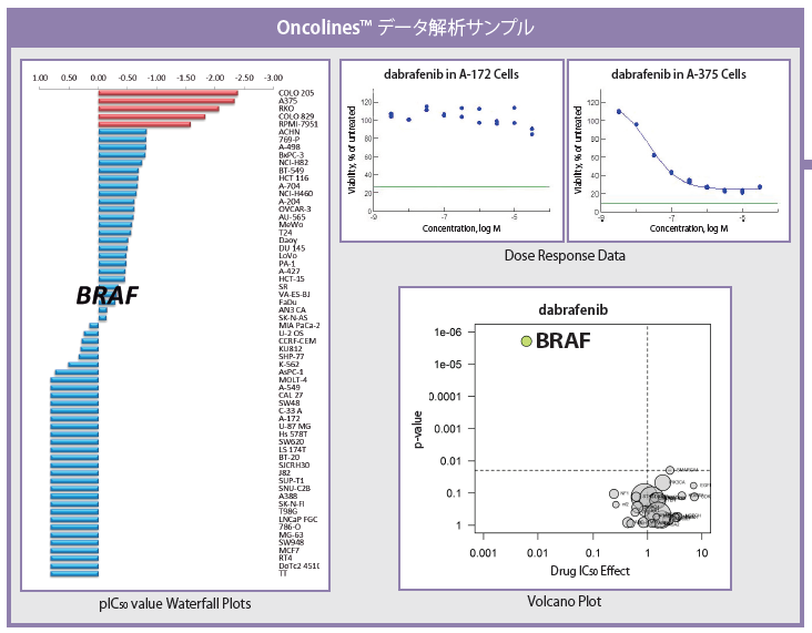 ヒト腫瘍細胞株パネル Oncolines