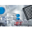 High-adhesion Advanced TC cell culture products