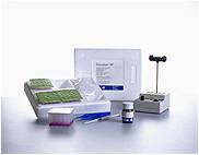 生乳/牛乳の残留抗菌性物質検査キット　デルボテスト SPNT