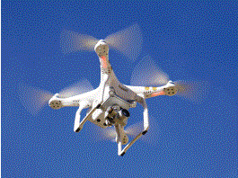 イノベーション創造プログラム『D4』