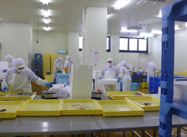 【Vulcan（ブルカン）導入事例】魚肉加工場(臭気対策)