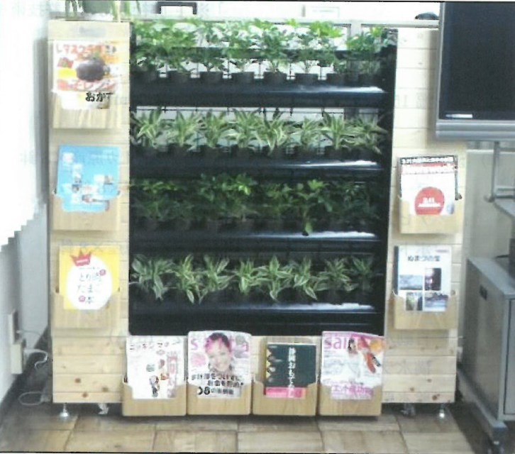 室内緑化『オフィスが爽快』