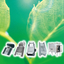 Comprehensive Catalog of Preprocessing Equipment