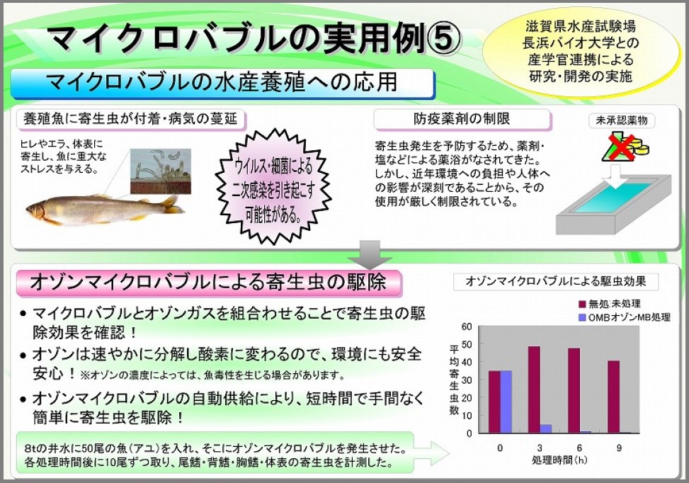 【ファインバブル/マイクロバブルの実用例5】水産養殖への応用