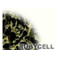 Conductive foam "Ruby Cell" that instantly absorbs water.