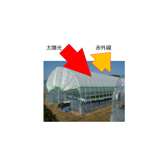 image_01.png