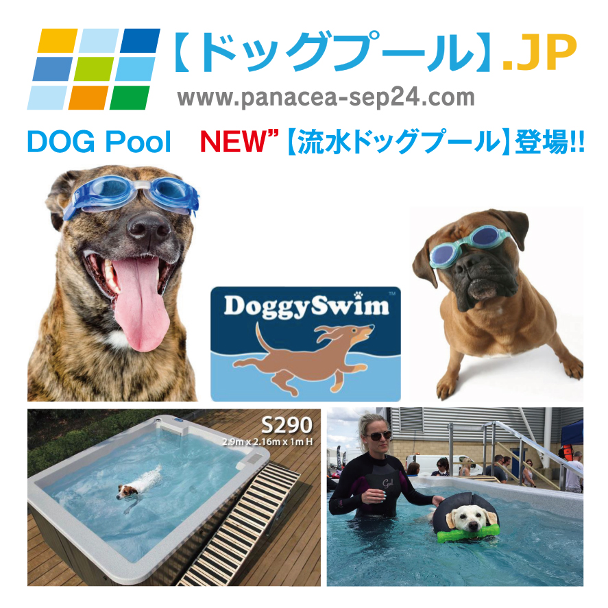 NEW【ドッグプール】（流水ドッグプール）Doggy Swim