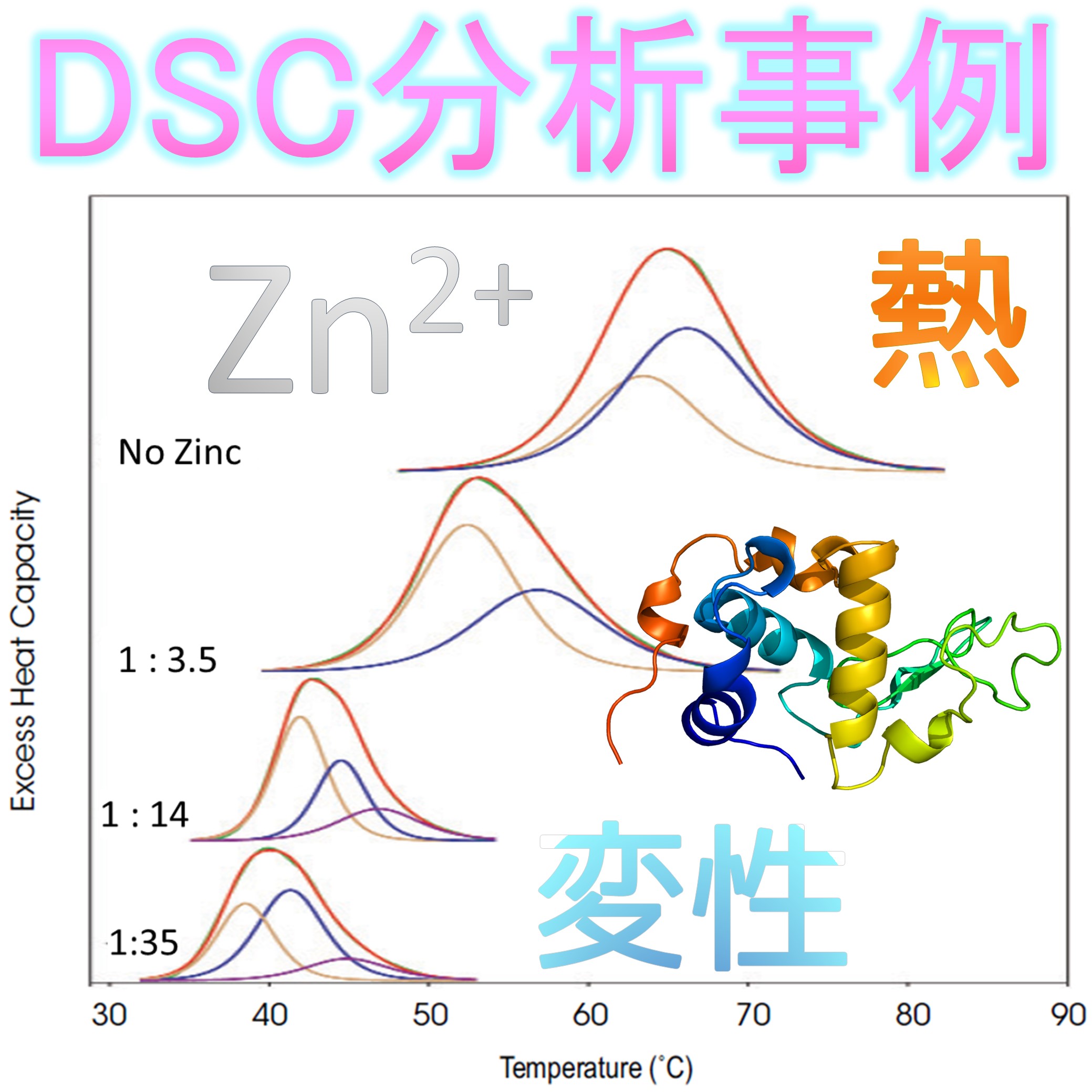 分析事例：NanoDSCのタンパク質変性温度とZn2+影響評価 | ティー・エイ