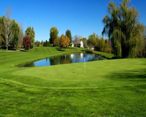 水不足、乾燥、霜、塩害などによる植物の環境ストレスの対応化技術